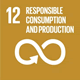 12 Responsible consumption & production