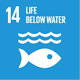 14 Life below water